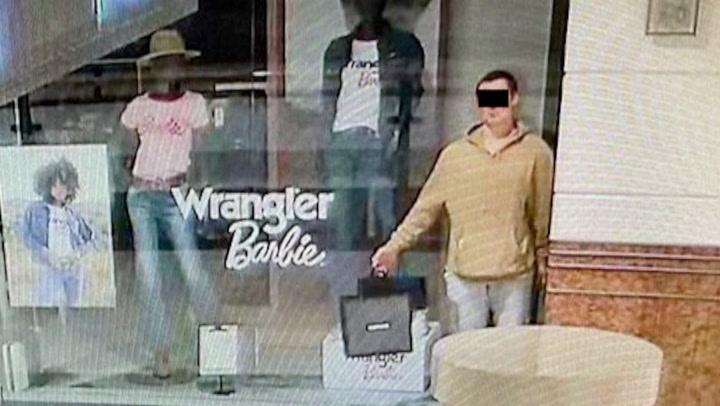 CCTV Footage Reveals Thief Pretending to Be Mannequin Before Stealing From Polish Shopping Center:
