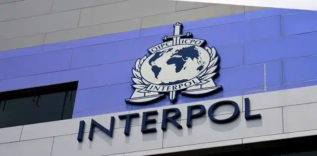 West Africa in mess as Interpol seizes $300M, arrests 3,500 people in sting operation across Nigeria, Ghana, others