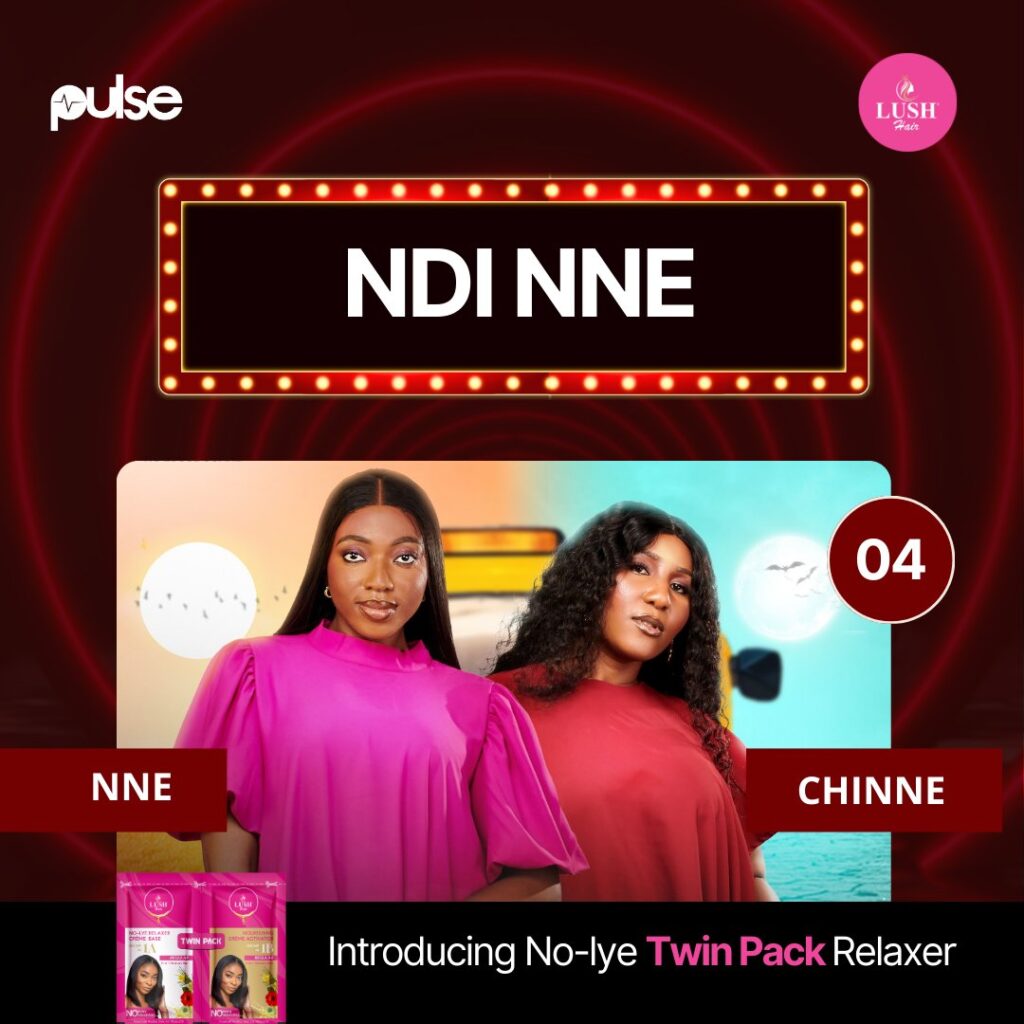 BBNaija Season 9: Fourth Housemate Duo, Nne and Chinne, Introduced