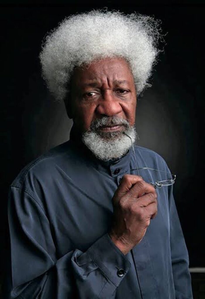 Honoring a Literary Icon as Ogun Monarch Urges FG to Declare July 13 as Wole Soyinka Day