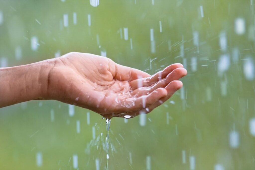 Niger State Traditional Rulers Lead Prayer Session for Rainfall Amidst Drought Crisis