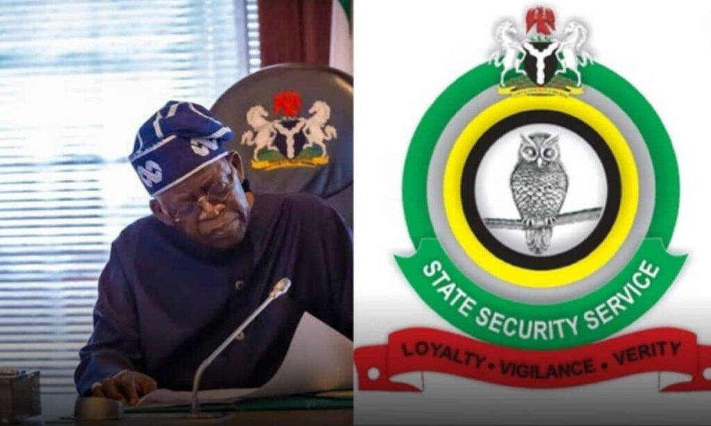 President Tinubu Shakes Up Security Leadership: Adeola Oluwatosin Ajayi Takes the Helm as New DSS DG