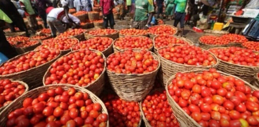 Protest-Induced Price Drop: Perishable Food Prices Plummet by 50% in Lagos Markets