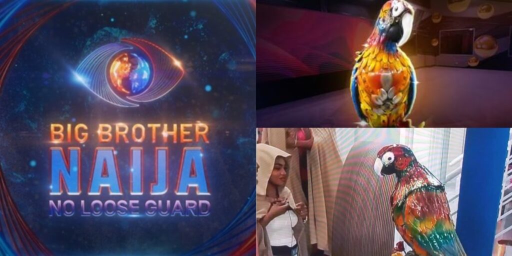 Big Brother Naija S9: The Return of the Parrot - Fans Go Wild!