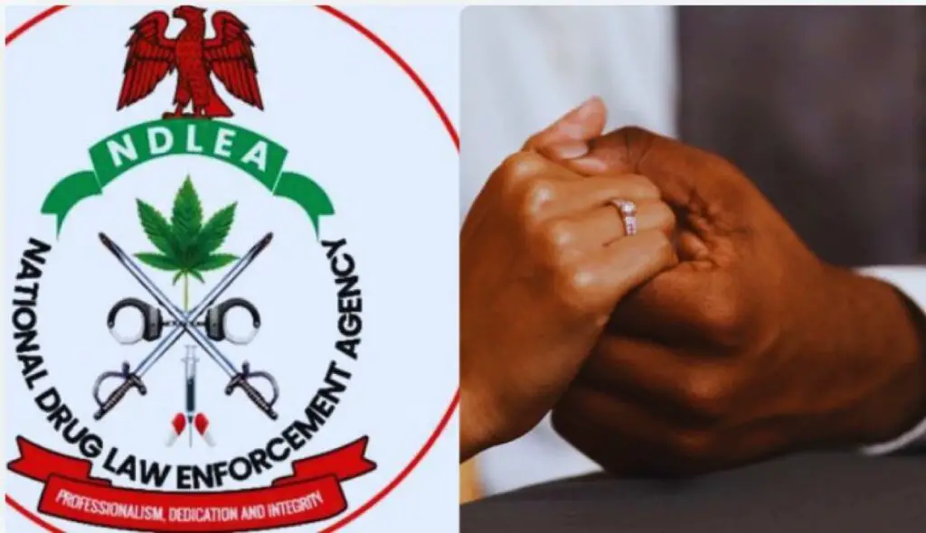 NDLEA Clarifies Visa Rules: No Husband's Approval Required for Married Women to Travel